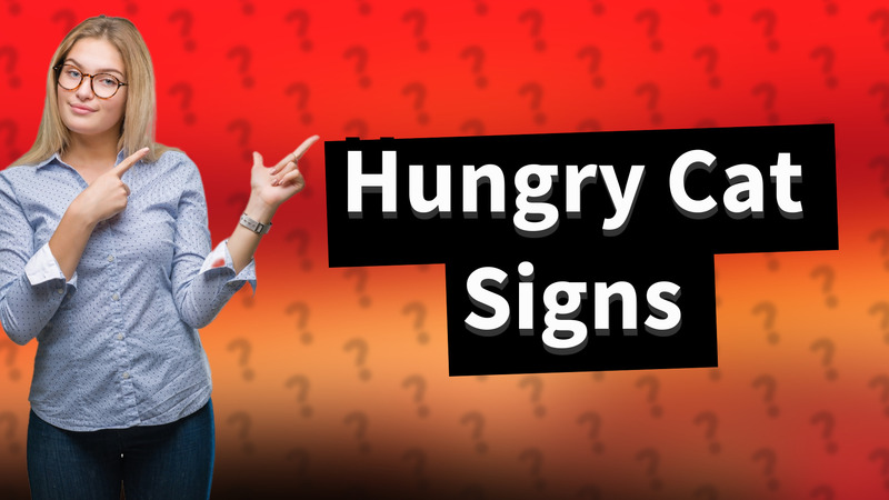 Hungry Cat Signs