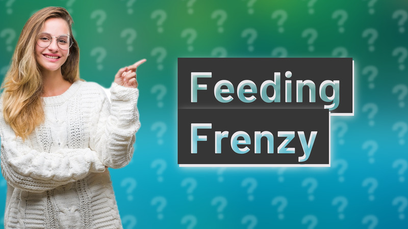 Feeding Frenzy