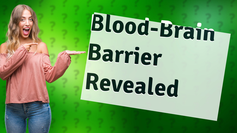 Blood-Brain Barrier Revealed