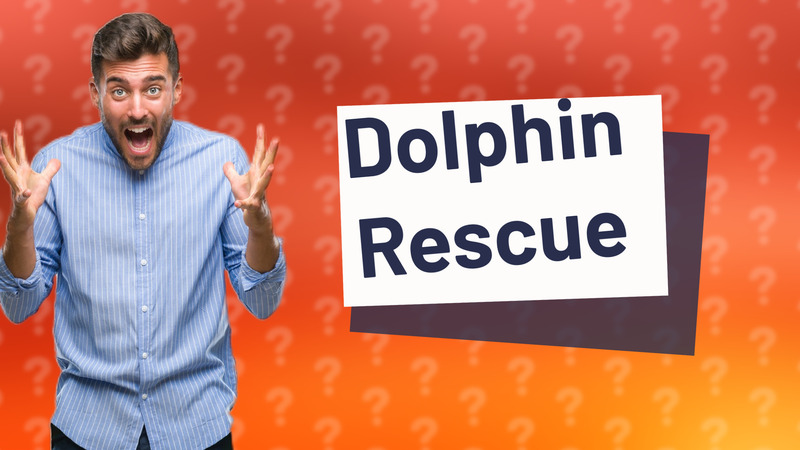 Dolphin Rescue