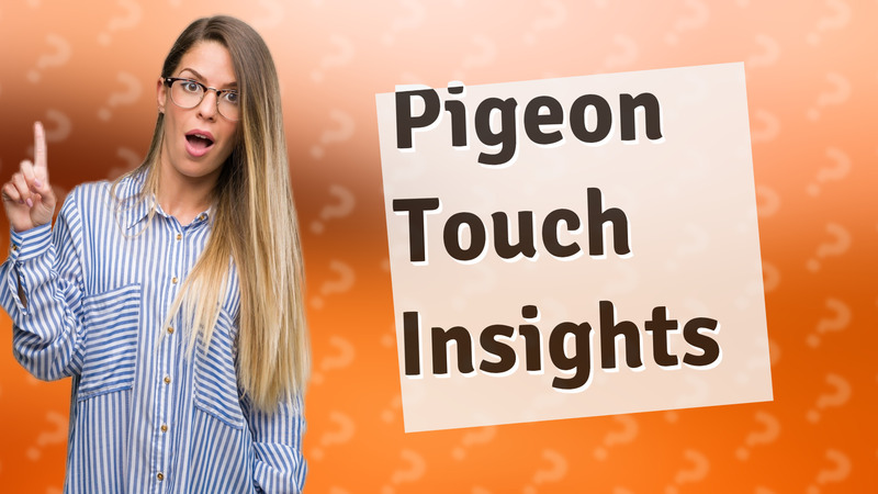Pigeon Touch Insights