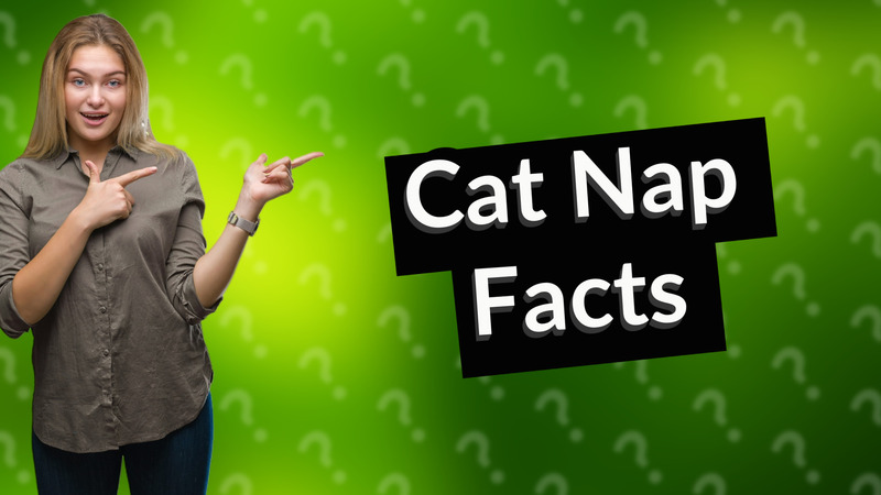 Cat Nap Facts