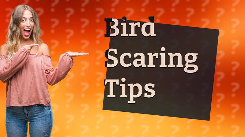 Bird Scaring Tips