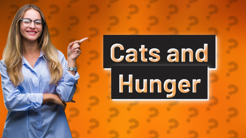 Cats and Hunger