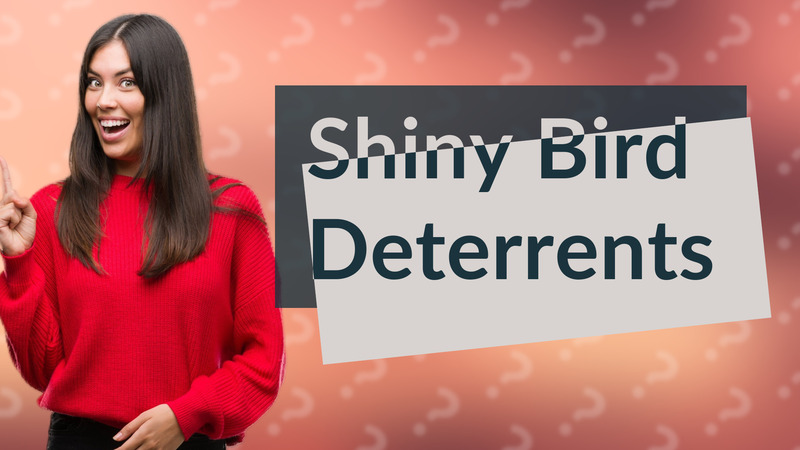 Shiny Bird Deterrents