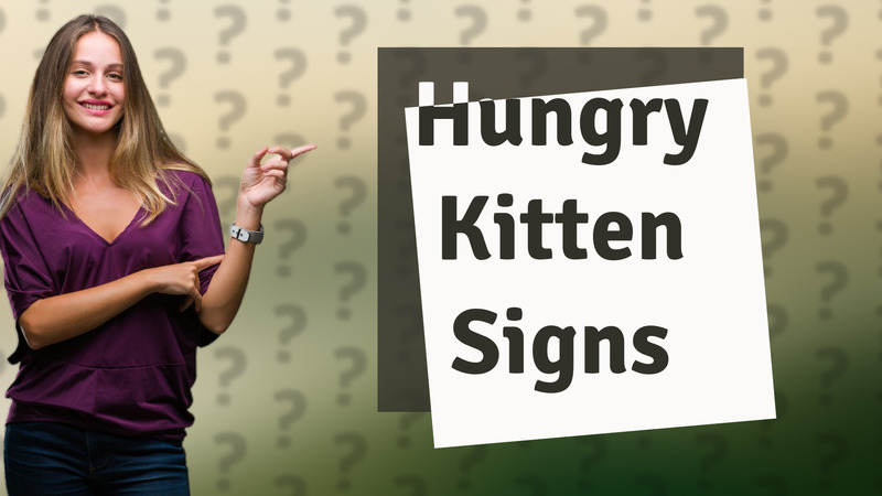 Hungry Kitten Signs