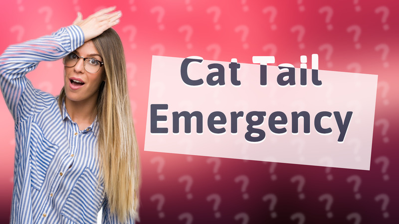 Cat Tail Emergency