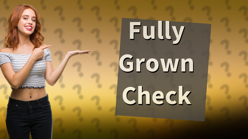 Fully Grown Check