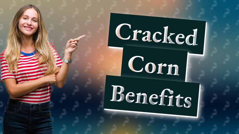 Cracked Corn Benefits