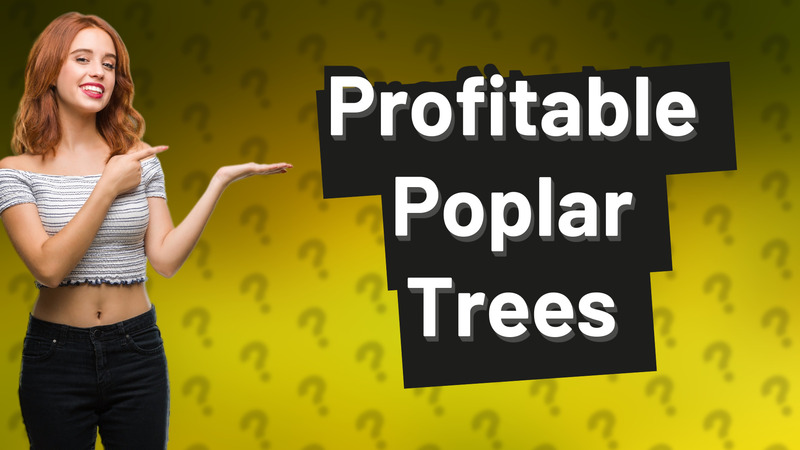 Profitable Poplar Trees