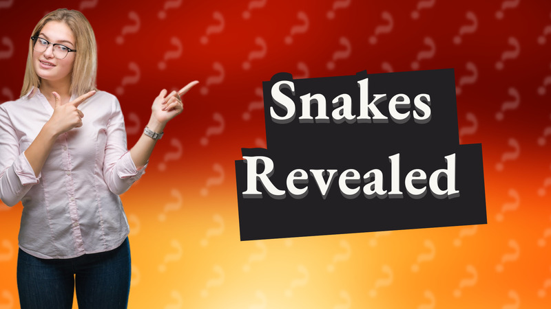 Snakes Revealed