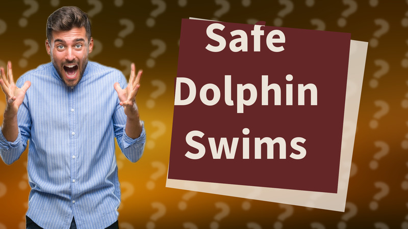 Safe Dolphin Swims