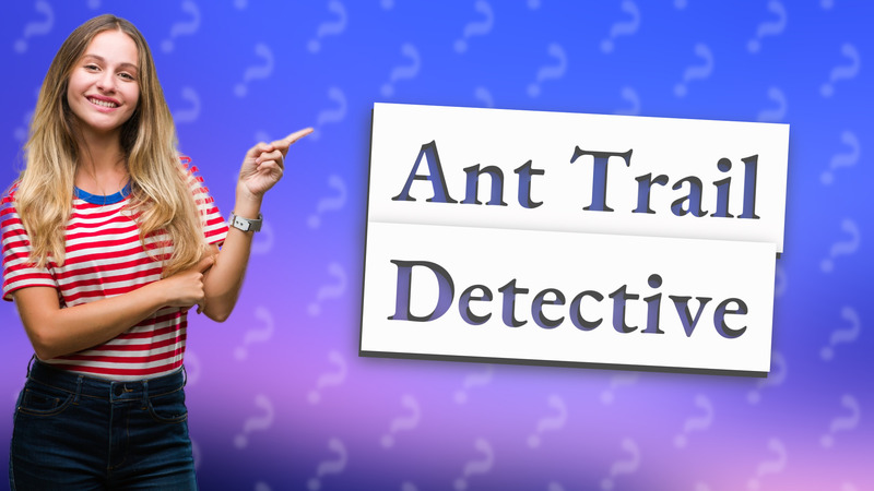 Ant Trail Detective