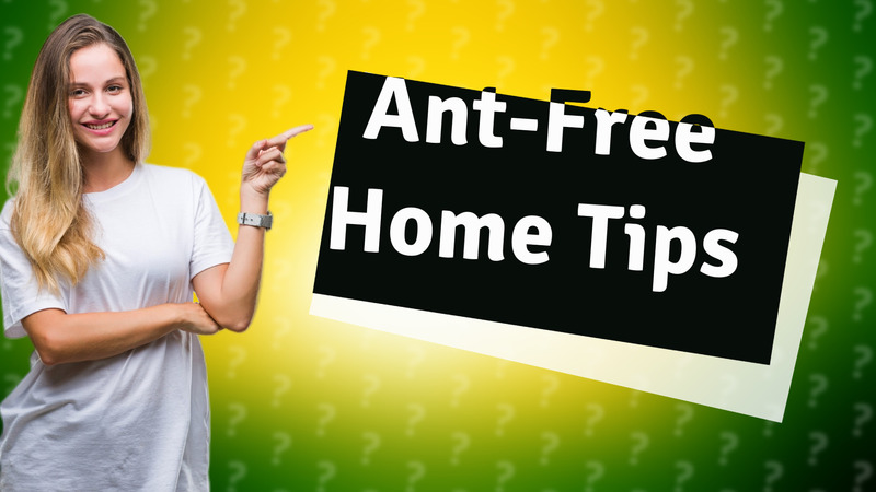Ant-Free Home Tips