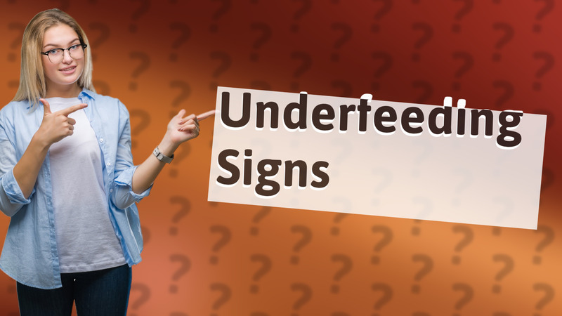 Underfeeding Signs