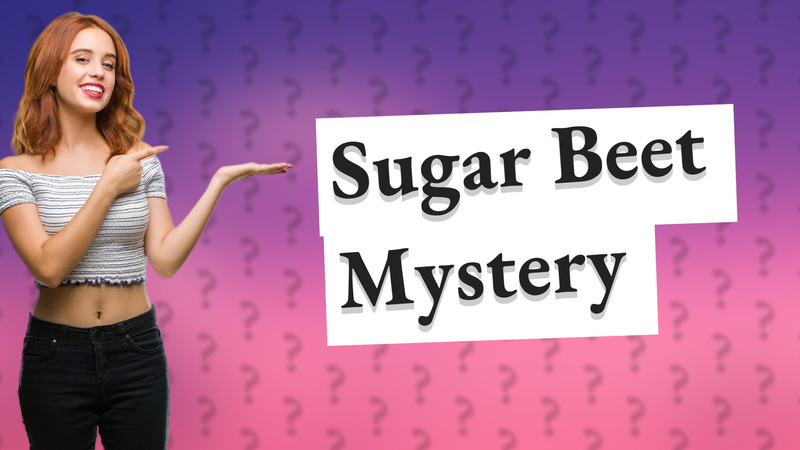 Sugar Beet Mystery