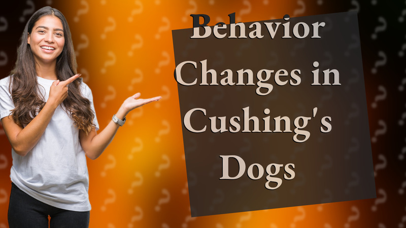 Behavior Changes in Cushing's Dogs