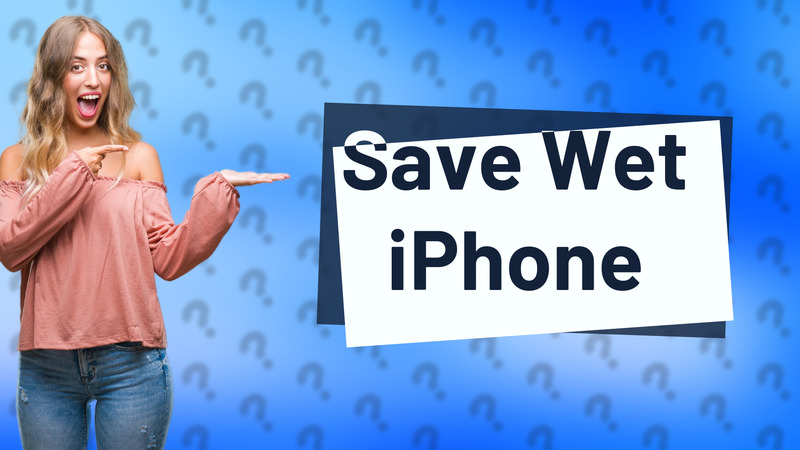 Save Wet iPhone