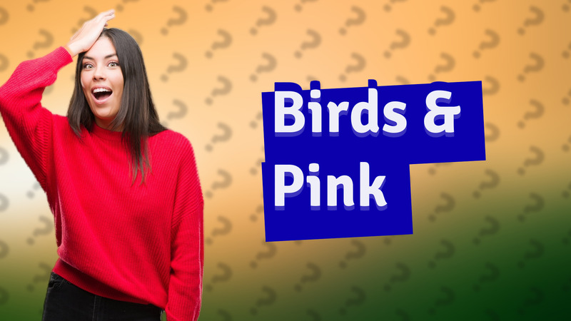 Birds & Pink