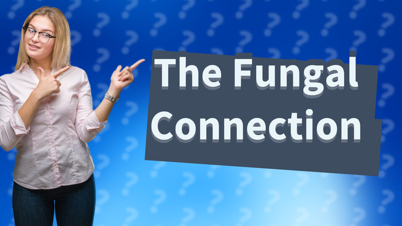 The Fungal Connection