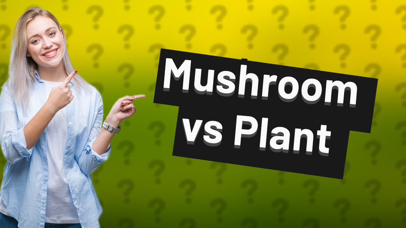 Mushroom vs Plant