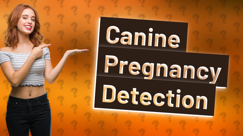 Canine Pregnancy Detection