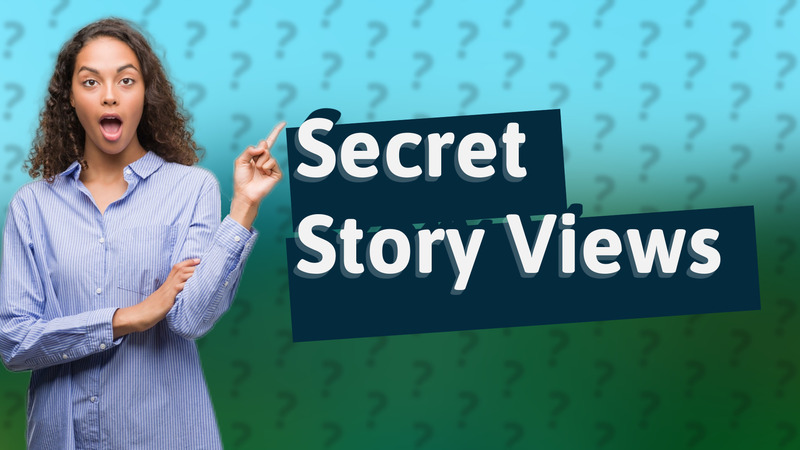 Secret Story Views