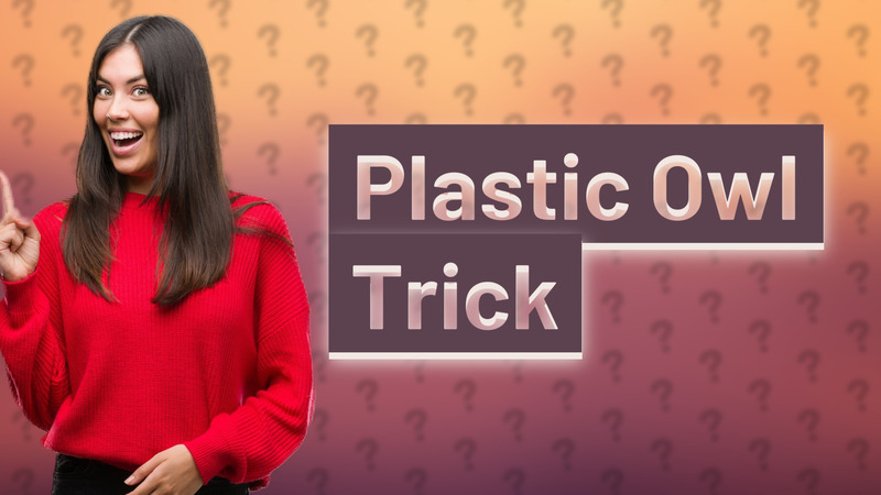 Plastic Owl Trick