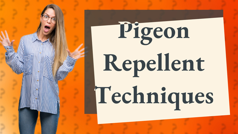 Pigeon Repellent Techniques