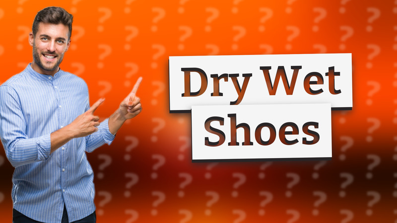 Dry Wet Shoes