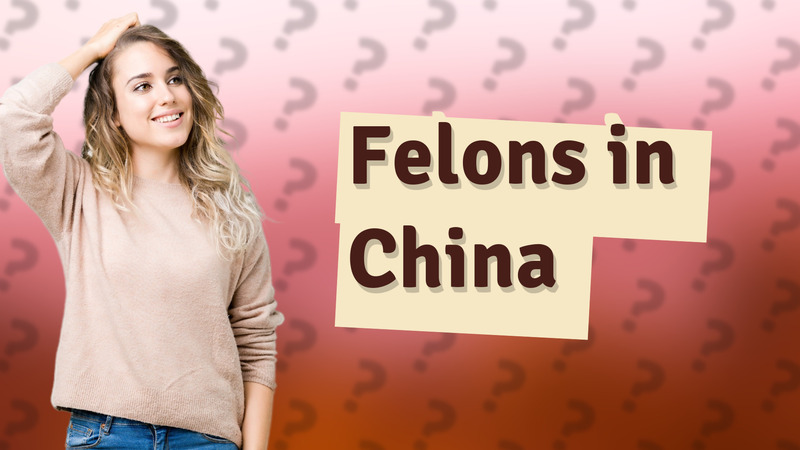 Felons in China