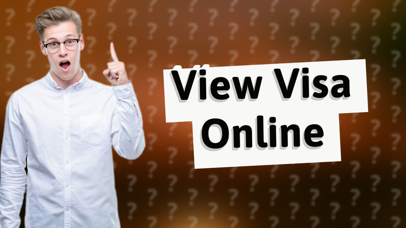View Visa Online