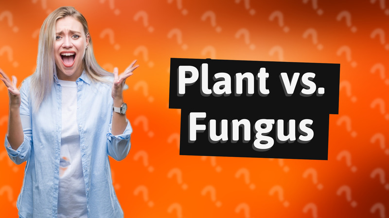 Plant vs. Fungus