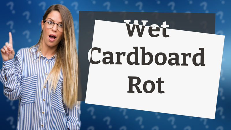 Wet Cardboard Rot