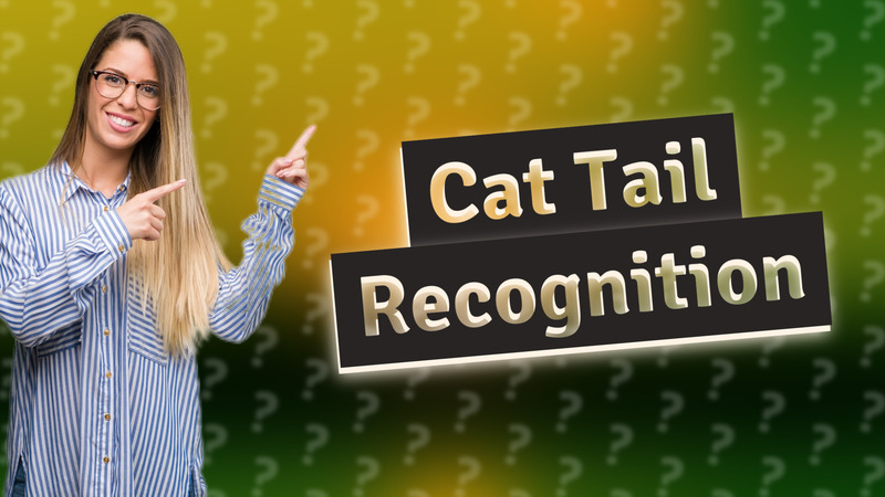 Cat Tail Recognition