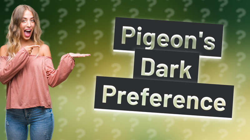 Pigeon's Dark Preference