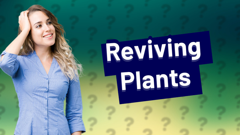 Reviving Plants