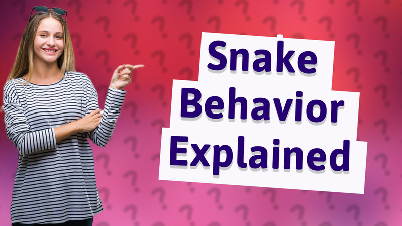 Snake Behavior Explained