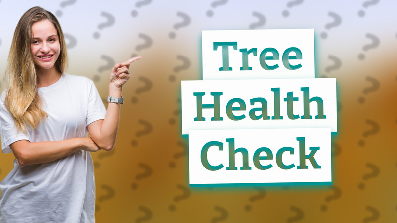Tree Health Check