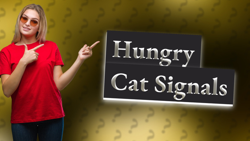 Hungry Cat Signals