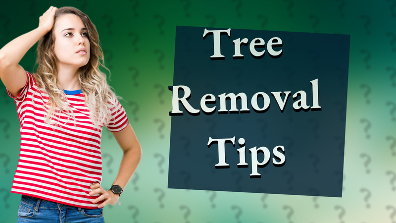 Tree Removal Tips