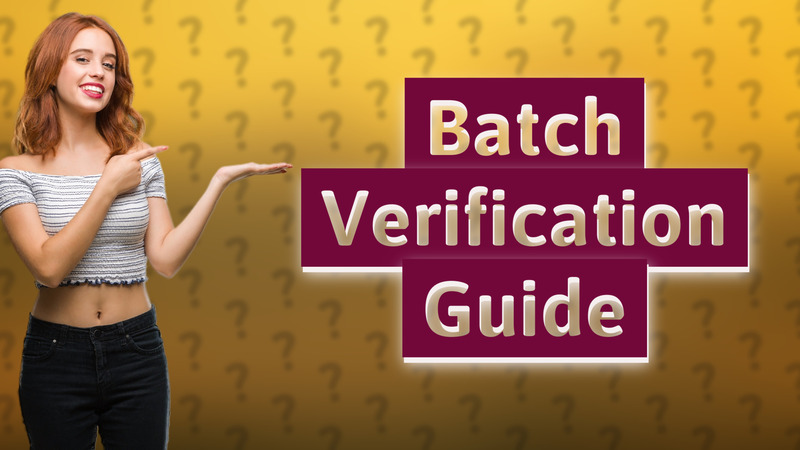 Batch Verification Guide