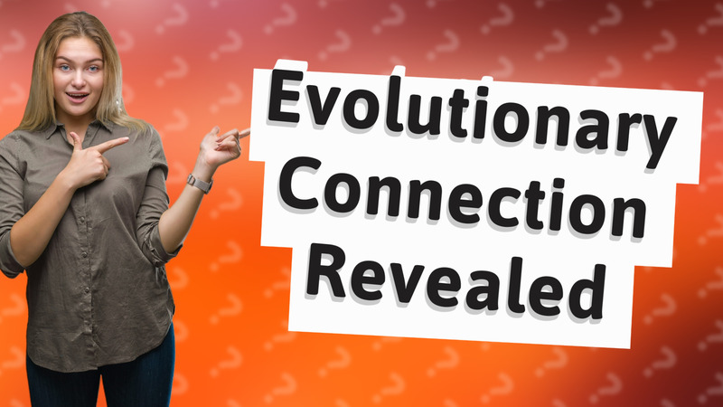 Evolutionary Connection Revealed
