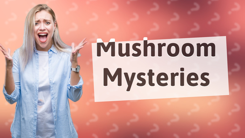 Mushroom Mysteries