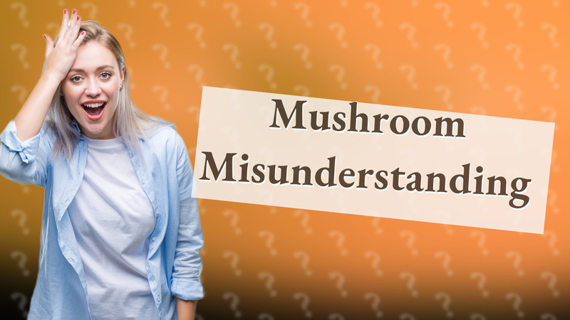 Mushroom Misunderstanding