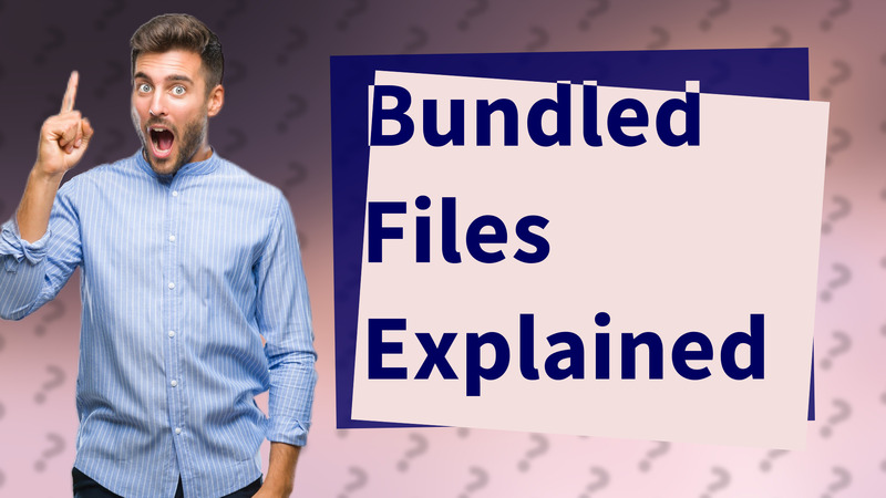 Bundled Files Explained