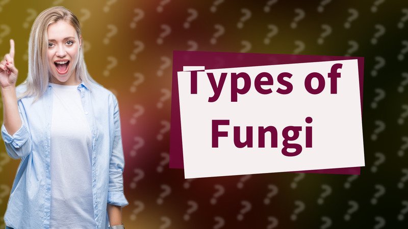 Types of Fungi