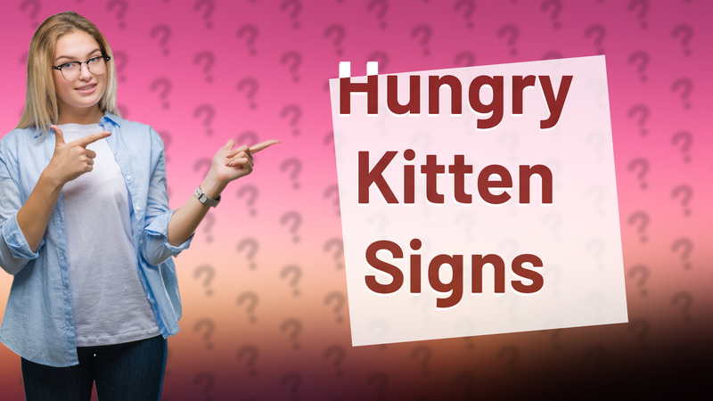 Hungry Kitten Signs