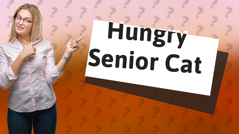 Hungry Senior Cat