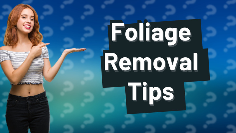 Foliage Removal Tips